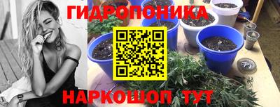 сатива Ипатово